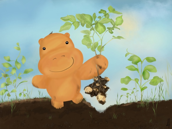 Ipo the potato wrangler
