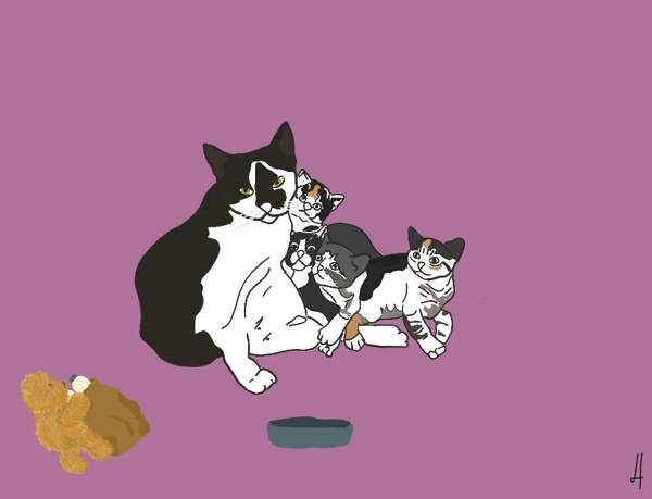 Motherhood